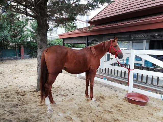 Pera Avcılar Özel Eğitim ve Rehabilitasyon Merkezi