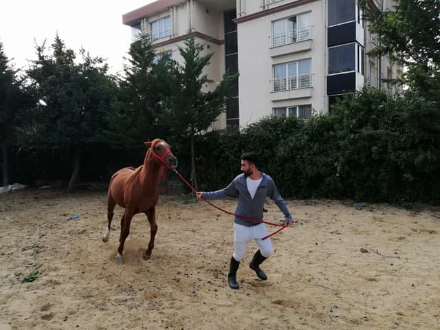 Pera Avcılar Özel Eğitim ve Rehabilitasyon Merkezi